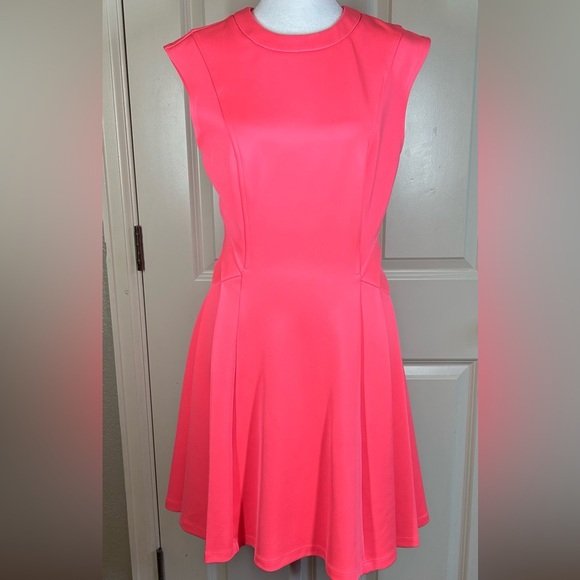 Ted Baker Mitton Fit & Flare Pink Skater Preppy Cocktail Night Out Dress Sz 2 - Picture 2 of 14